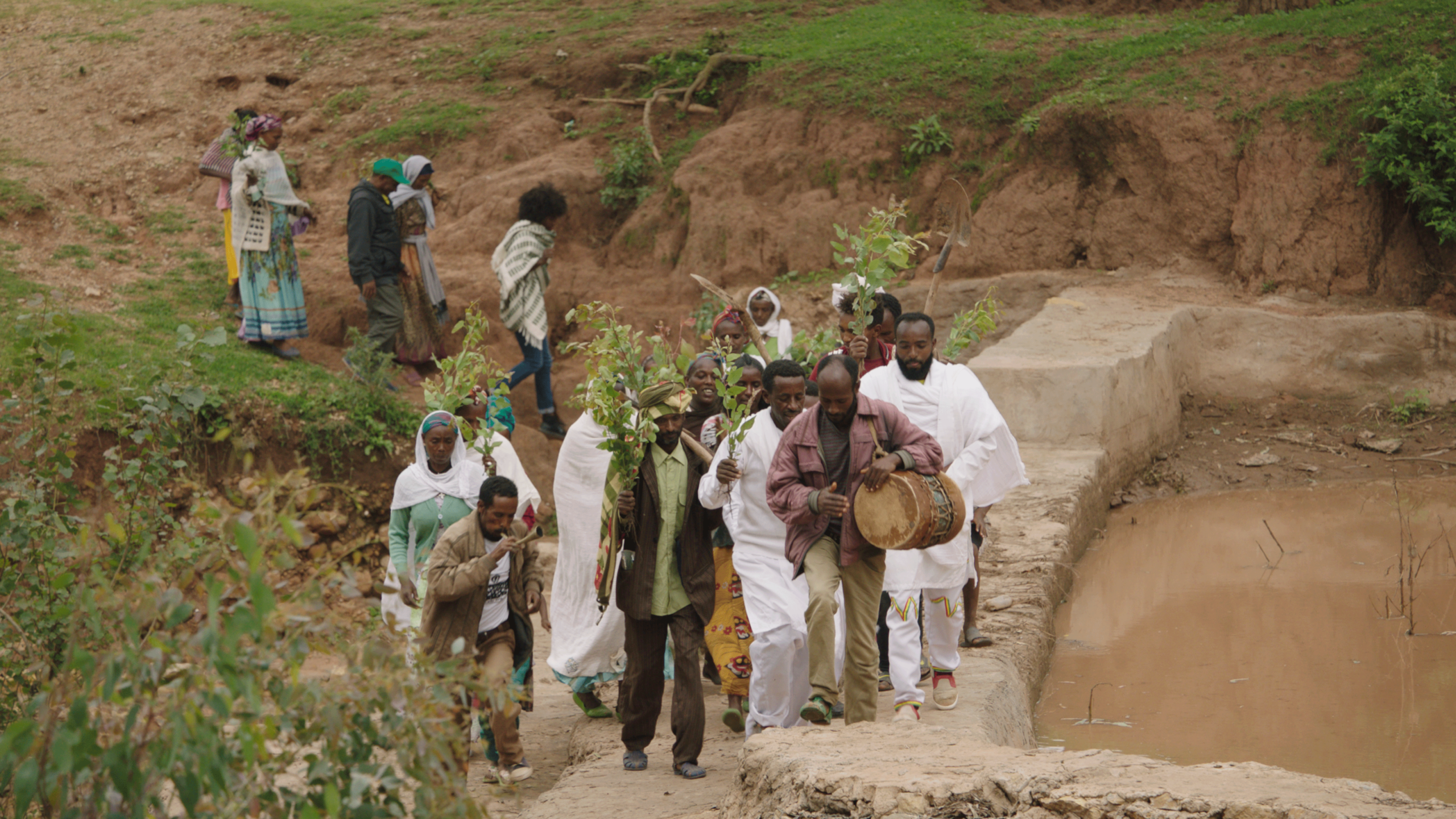 72915a050a3090e77a64c92aae5a0c56